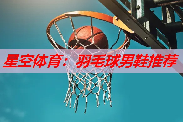 星空体育：羽毛球男鞋推荐