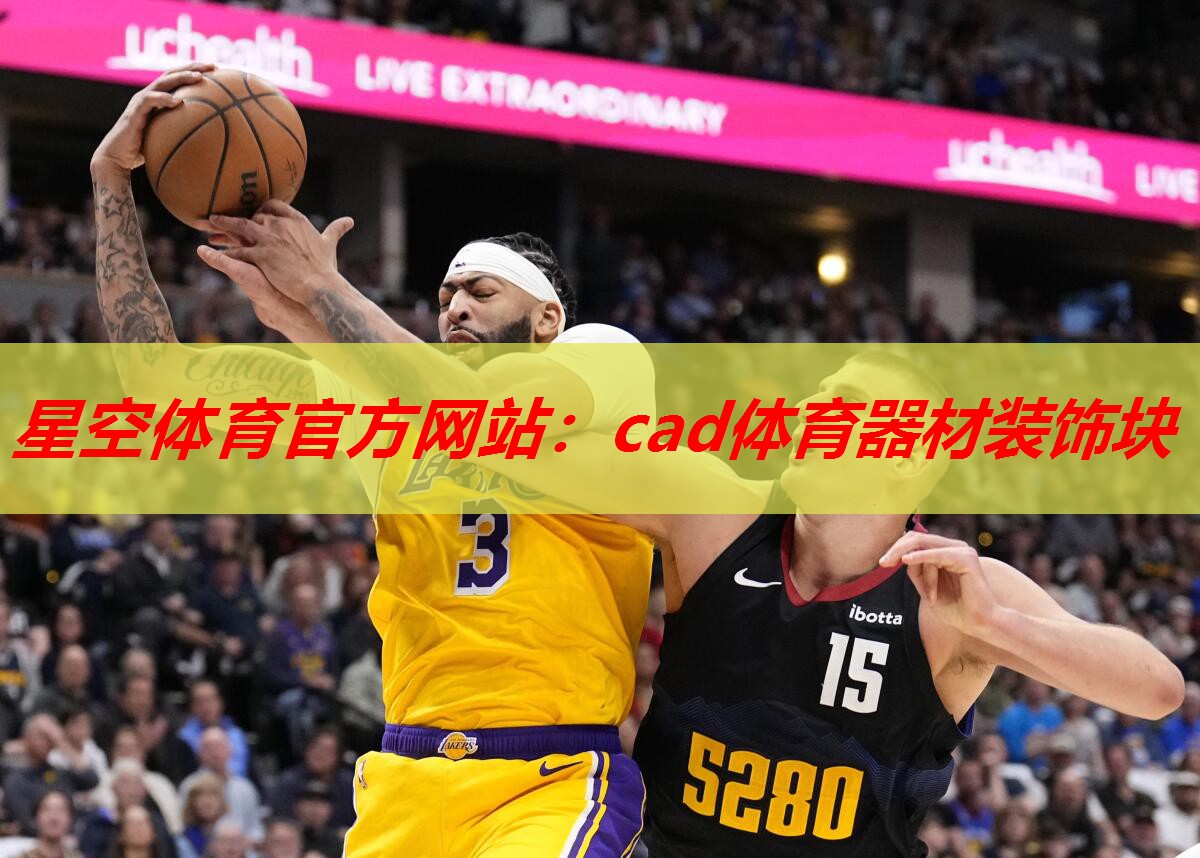 星空体育官方网站：cad体育器材装饰块