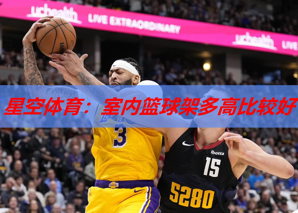 星空体育：室内篮球架多高比较好