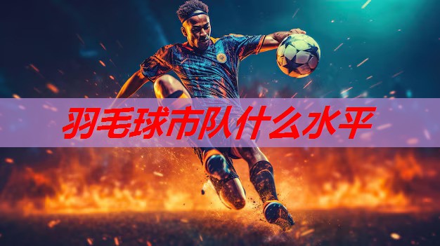 羽毛球市队什么水平