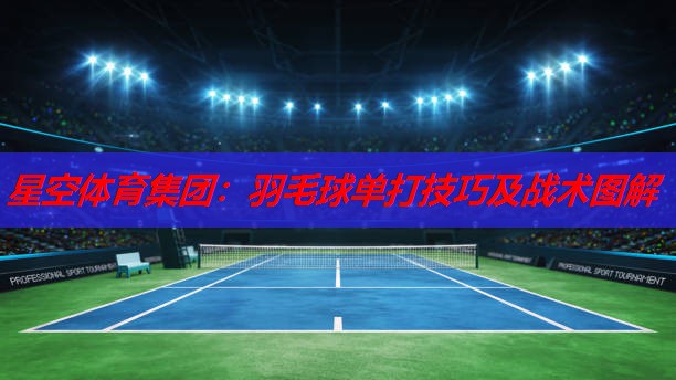 羽毛球单打技巧及战术图解 羽毛球单打技巧及战术图解