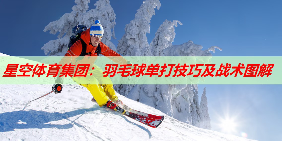 羽毛球单打技巧及战术图解 羽毛球单打技巧及战术图解