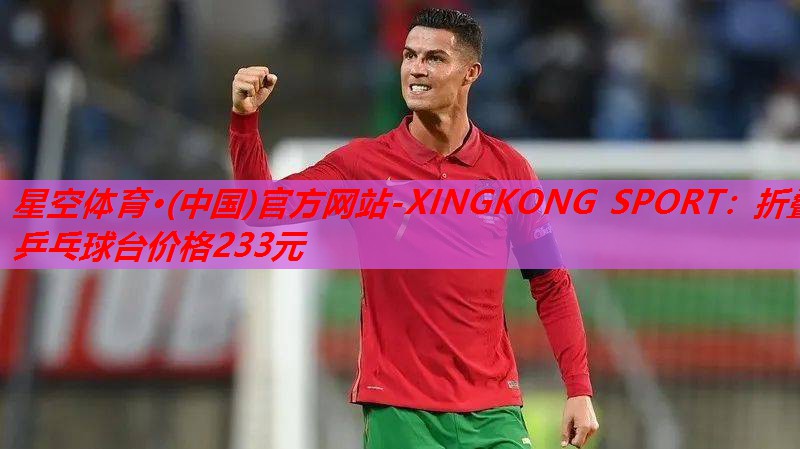折叠乒乓球台价格233元 折叠乒乓球台价格233元