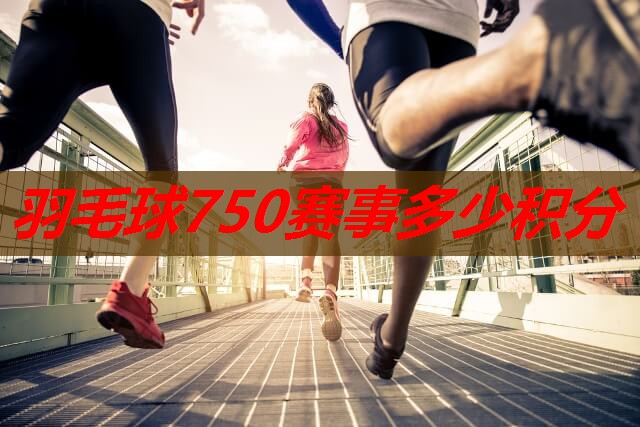 羽毛球750赛事多少积分 羽毛球750赛事多少积分