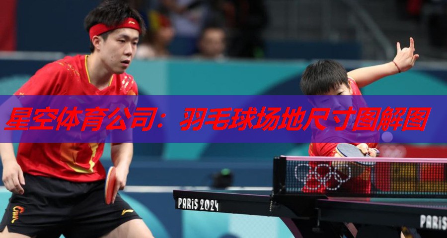 羽毛球场地尺寸图解图 羽毛球场地尺寸图解图