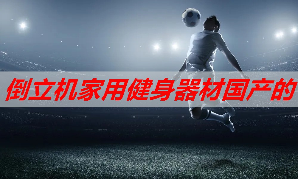 倒立机家用健身器材国产的