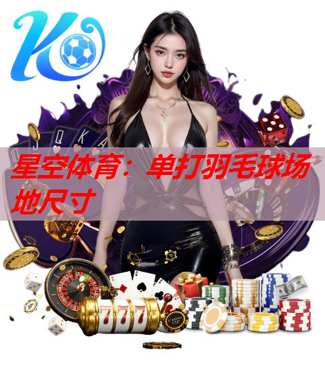 单打羽毛球场地尺寸 单打羽毛球场地尺寸