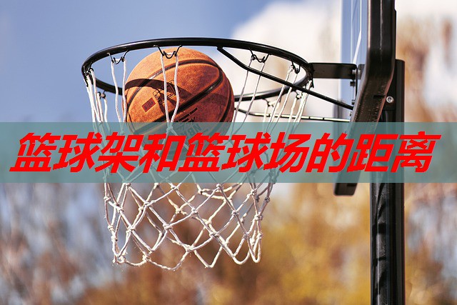 篮球架和篮球场的距离 篮球架和篮球场的距离