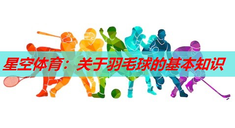 关于羽毛球的基本知识 关于羽毛球的基本知识