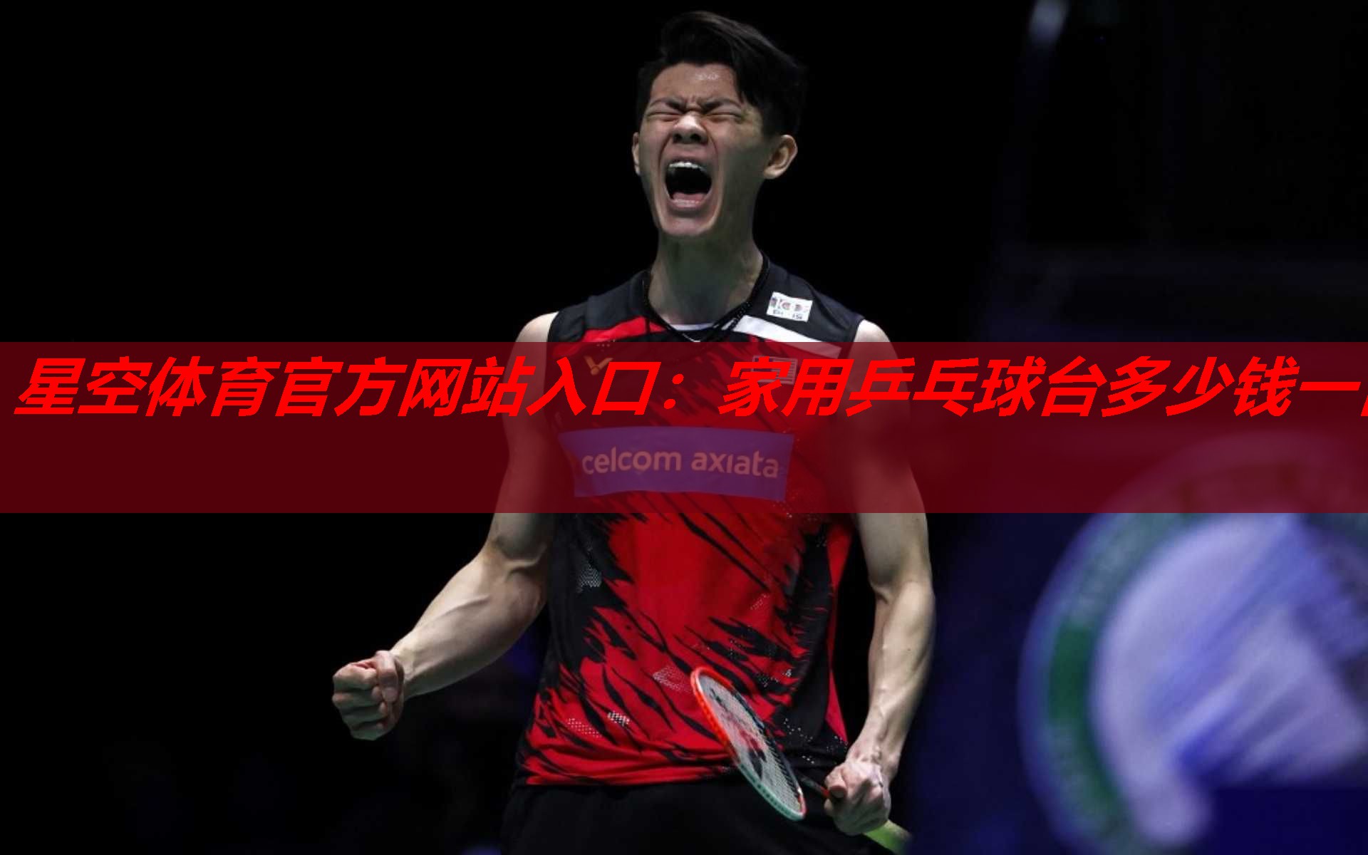 家用乒乓球台多少钱一台 家用乒乓球台多少钱一台