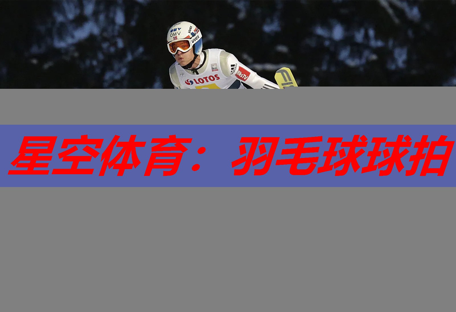 羽毛球球拍 羽毛球球拍