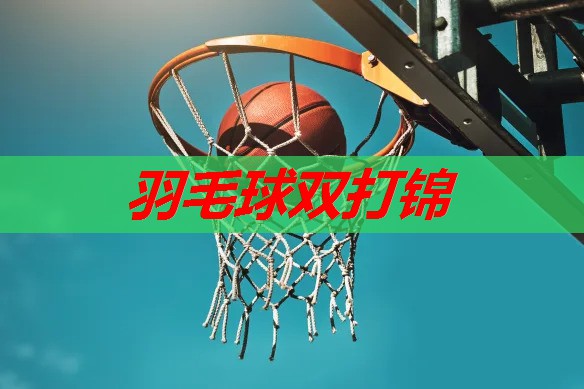 羽毛球双打锦 羽毛球双打锦